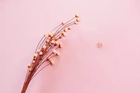 广东教师招聘笔试考点:墨子在教育方面的生平贡献都有哪些?